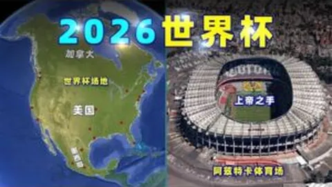 中俄关系迈向新里程：研究报告正式发布